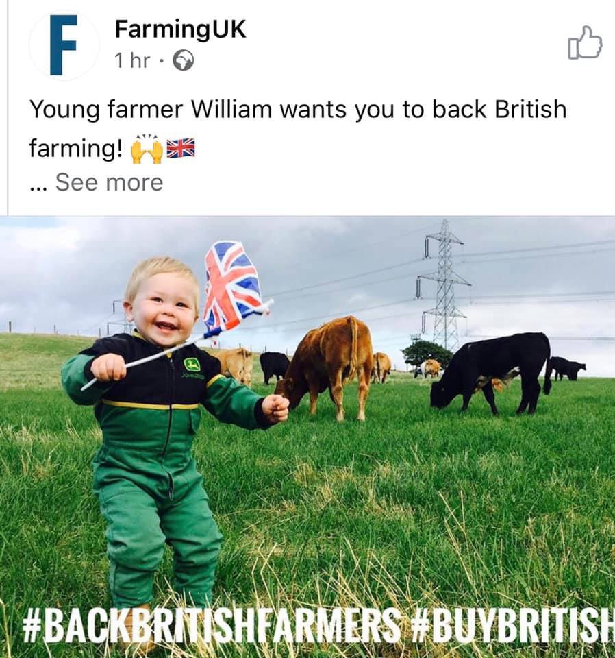 Our potatoes are bought from Halls farm at Old Brampton, Chesterfield, Derbyshire and prepared fresh each day along with our fresh steeped peas. We don’t do frozen rubbish full of chemicals. Only the best for our customers.