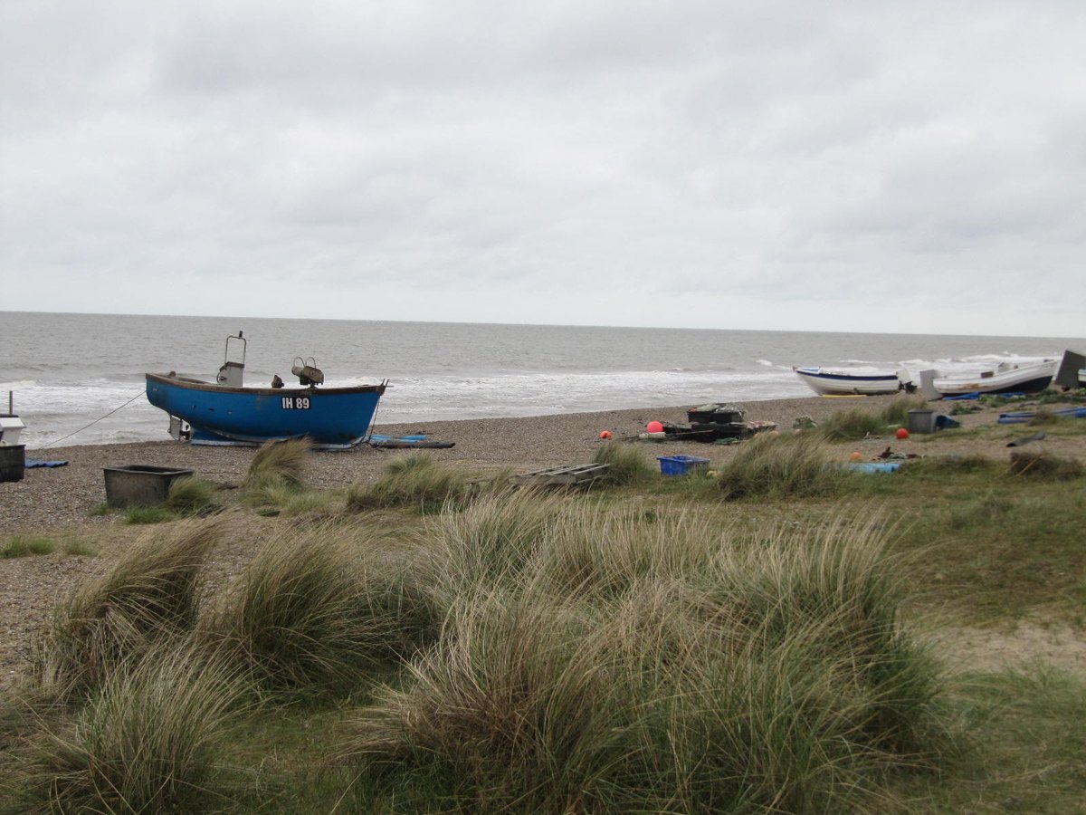 SWTlearningteam's tweet image. Ever thought about using our lovely beaches as a learning environment? @suffolkwildlife  are running an accredited #WildBeach Leader course in March at #Sizewell beach, a stunning location with rare vegetative shingle @SuffolkAONB #CPD #outdoorlearning #suffolk