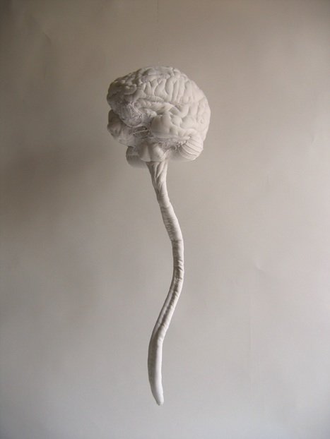 Karine Jollet cuts old white bed sheets, shirts, embroidered handkerchieves &amp; second-hand fabrics into fragments. She then sews them back together to create anatomical body parts, organs &amp; bone structures.
Images:©Karine Jollet medinart.eu/works/karine-j… #anatomy #anatomicalart