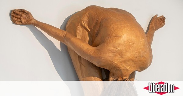 [A LIRE] "Kiki Smith : Ma génération a bénéficié du combat de femmes artistes" par @ClemiMercier via <a href="/libe/">Libération</a> : ow.ly/A9dP50xZUOn