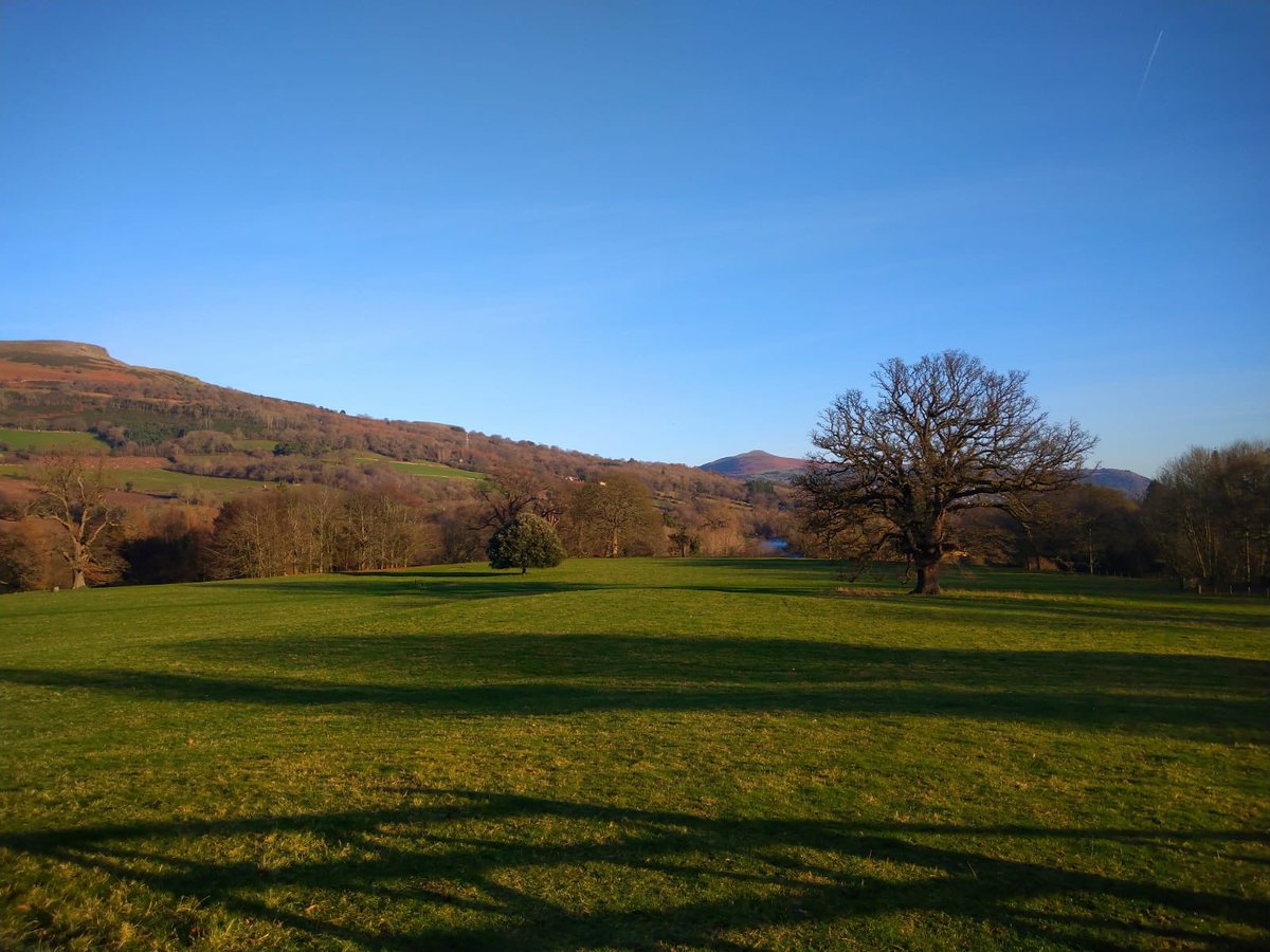 Glanusk Caravan Park tweet media