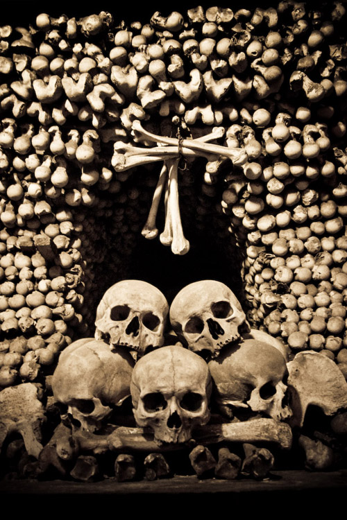 MrZLO999's tweet photo. 💀Цепочка в честь 4к 💀

💀рт этот твит💀
💀💀💀💀💀💀💀💀💀💀
💀читай ритвитнувших💀
💀💀💀💀💀💀💀💀💀💀💀
💀читай меня, я взаимный💀
💀💀💀💀💀💀💀💀💀💀💀
💀напиши что-нибудь в 💀
💀комментарии💀💀💀💀
💀💀💀💀💀💀💀💀
#взаимно
#цепочкатвиттерских
#цепочкафолловеров
#цепочка https://t.co/69M59R7A1e