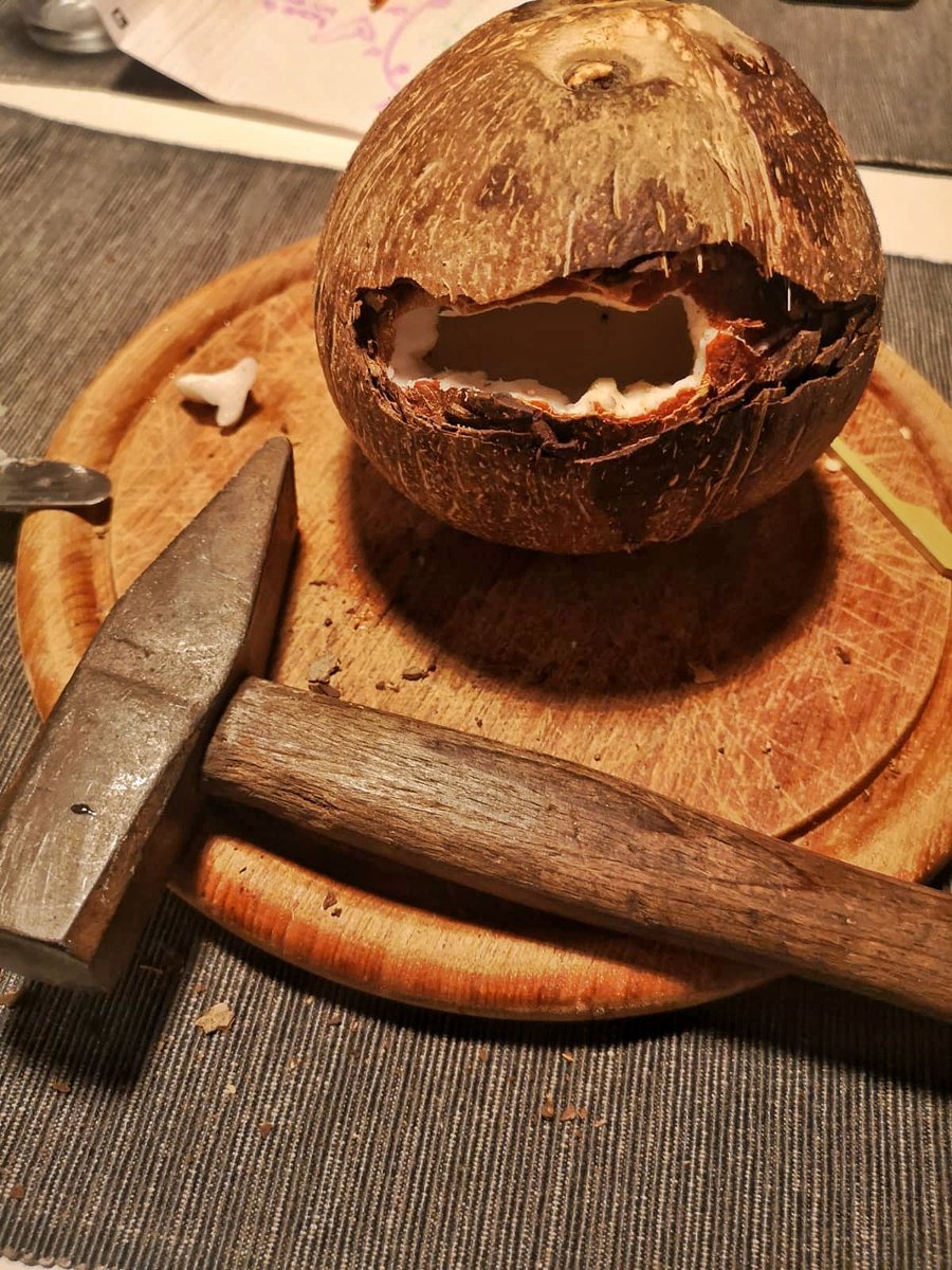 DorotheeKnoop's tweet photo. Eine Kokosnuss mit eigenen Händen knacken.

Habe mich einer Challenge gestellt.
Ich machs kurz. In der Wildnis würde ich verhungern.

#BeweisStückA
#My5Tweets https://t.co/cOL9mMxvfk
