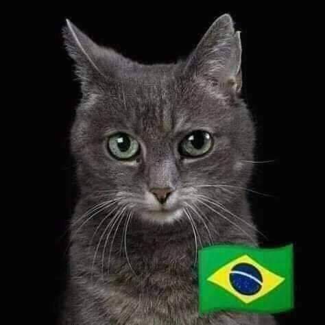 RimClubisteya12's tweet photo. تونسي 🇹🇳😂 https://t.co/2rkI8A96rX