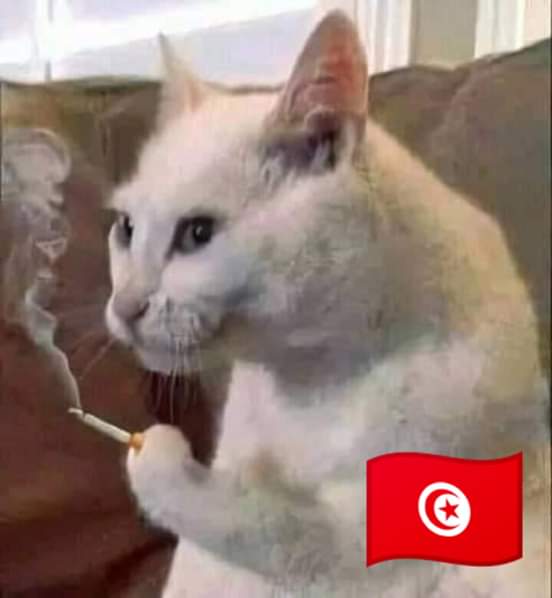 RimClubisteya12's tweet photo. تونسي 🇹🇳😂 https://t.co/2rkI8A96rX