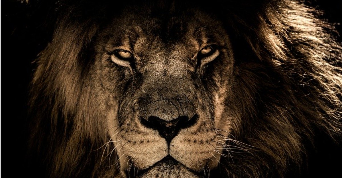 It is the mind that creates the body 👊

It is the mind that sees the end result 🎖️

Never give in, Here that inner roar, You are the one that can reach that end goal

#inspiration #gymlife #gym