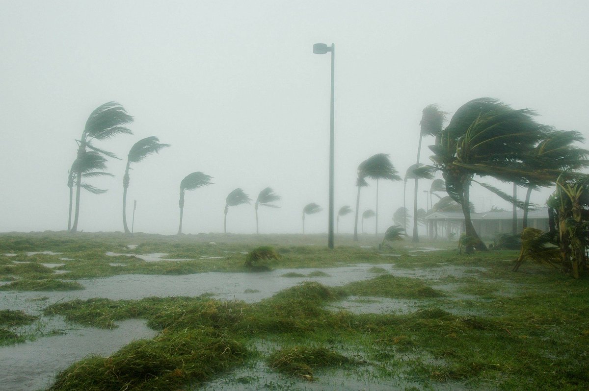 "What if we miss the target?" – Richard Betts will look at the impacts of climate change at global warming 1.5°C, 2°C and above. 19th February 2020 7pm - 9pm, University of Exeter. See for details: rgs.org/events/autumn-…