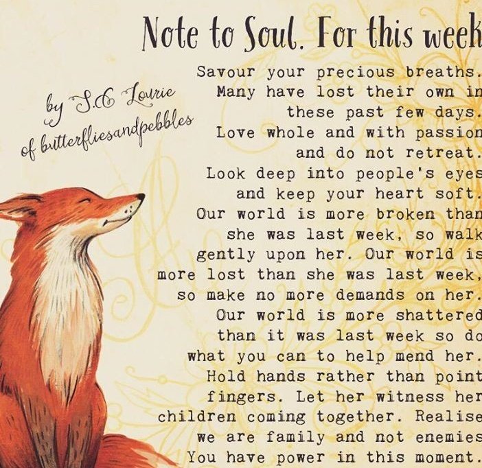 lorax58's tweet photo. #SoulNotes
#VixenAngel https://t.co/q6manHCFtG
