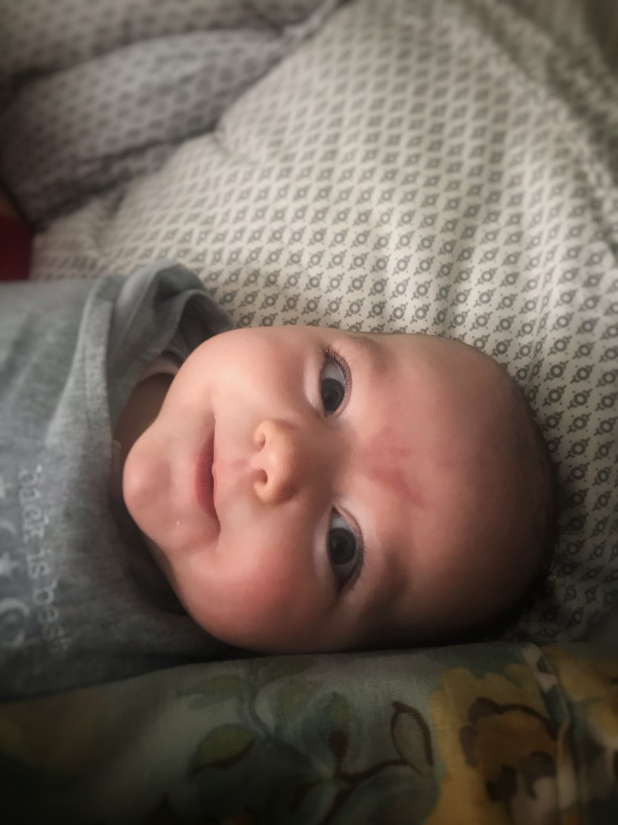 ianpisarcik's tweet photo. Found this nerd in my bed this morning. #strongchin https://t.co/zfVdh7LZC2