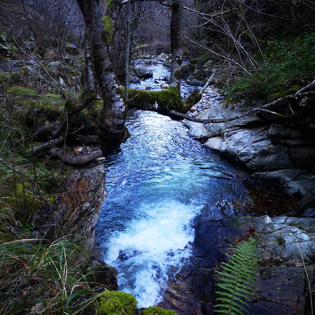 EnRutAsturias's tweet photo. Aquí os dejamos os dejamos algunas de las fotos de la ruta de ayer, #RutadelAlba. Seguro que a más de uno le apetece ir a conocer esta parte del Paraíso.
#Sobrescobio #redes #parquenatural #reservadelabiosfera
#visitasguiadas #guiaoficial #officialguide #turismofilia https://t.co/Cfv7zi4xpY