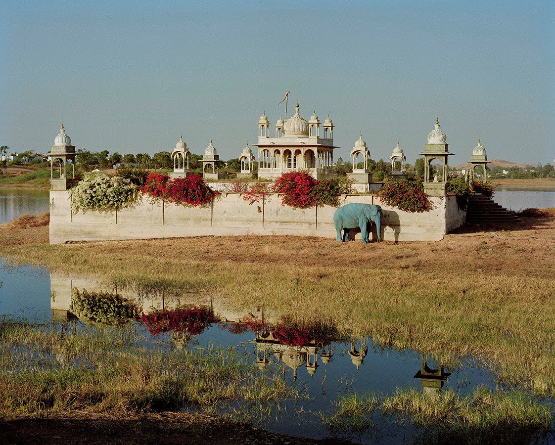 Blue Elephant and Temple, Dungarpur, Rajasthan[by Tim Walker]