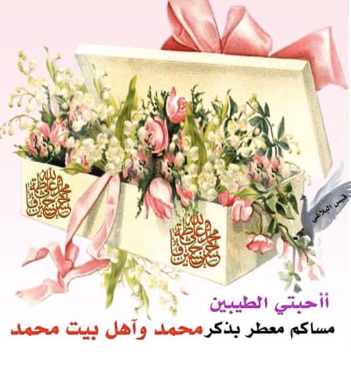 <a href="/thedark5000/">THE DARK</a> <a href="/313_sssss/">💲S</a> <a href="/sammr3/">ᏕᎯᗰᎯᖇ</a> <a href="/Al_Zh37/">آُلَبّتُوُلَ</a> <a href="/_jud_ali/">كَوُثًــــرَ عَـلَي</a> <a href="/ma98_98/">مَ؏ڝَوَمَةَ</a> @Husseinalsd <a href="/hs____34/">‏👑◈ سہأقہيہ ألوفہه ◈</a> <a href="/ssccaa88/">𝑴𝑨𝑺𝑶𝑴𝑨</a> <a href="/sea998877/">ابو احمد Abo Ahmed 75</a> <a href="/STS2MP0rJoP5FN5/">انا عراقيA</a> <a href="/Sh____i90/">خامنئي</a> <a href="/wwrr22321/">🌼•♥•♥ ☜ sarmed ☞ ♥•♥•🌺🖋</a> <a href="/khalidobead1/">خالد العلواني</a> @K_adim313 <a href="/et5TaNvp9sStW0X/">حسين</a> <a href="/leena987654322/">len</a> <a href="/rasoool1964/">RASOOL أبو مصطفي</a> <a href="/mnh246/">الماء المعين</a> <a href="/rmh3744_/">REDA_HACHEM</a> @araqiAlaraqi @vedUTNp9ZMSSyUK <a href="/hamasaat81/">𝙌𝙏𝙍 𝘼𝙇𝙉𝘿𝘼💥☀️🎋 ا</a> <a href="/ahmad2012857/">رتويت الشيعة ~ ٣١٣</a> <a href="/R_ALKAWTHAR/">♻️ الكوثر ♻️ 58K</a> <a href="/salwahafiad/">سيدة روحي</a> <a href="/madar_hm/">وٌهَمْ!!</a> <a href="/elazei/">..أحيوا أمرنا</a> <a href="/ads9928/">كبرياء انثى</a> <a href="/hnnahh333/">فجر الولاية</a> <a href="/3liSadeq/">Ali Mayali</a> <a href="/love24478/">قاسم الحداد</a> <a href="/soooim213/">سومي عجومي/قابوسيه✨</a> <a href="/YytcU/">مريم</a> <a href="/AAlIIlEE/">🇮🇶   A   🇮🇶</a> <a href="/1UriYVON8UVSjik/">اه يازينب الكبرى</a> <a href="/soto55787/">غريب طوس - الرضا (ع)</a> <a href="/Dorr_14/">#دُرر_المعصومين</a> @Drr_albahjat <a href="/y__12m/">✍️ عليۦ‏ے العرويۦ‏ے</a> <a href="/jawad321581/">& Jawad..Abd➰</a> <a href="/ShiahRT/">الدعم الشيعي</a> <a href="/h1_313/">قروب ياقائم آل محمد</a> <a href="/m1jqk/">علي نور حساب ١</a> <a href="/a_yjh/">سِـرأّبً أّلَوٌدٍ</a> @nadaaAlhussainy <a href="/alhsun77/">الطف</a> <a href="/alham_3/">alham</a> @p3A5L95MfRrGvuN