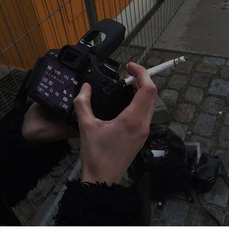 𓂋 tweet media