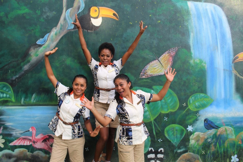 Sunscape Dorado tweet media