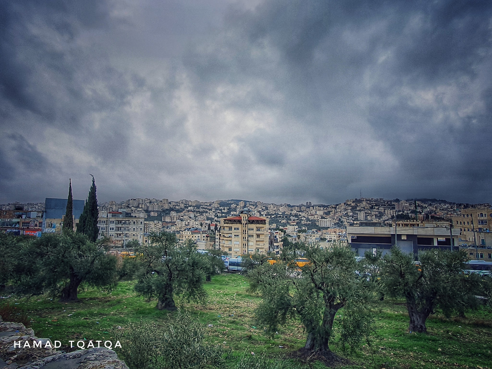 ���� ���� ������ �� ���� ������