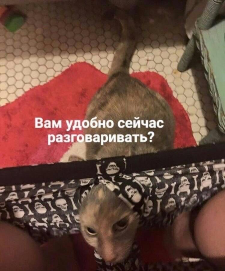 EOvkLg3UUAIE4Oi?format=jpg&name=medium