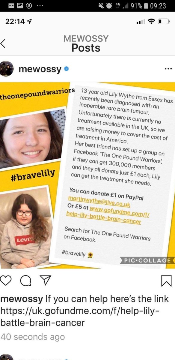 EmmaFox92859940's tweet photo. @RobbieRinder please can you spread the love to get lily to America please ♥️ https://t.co/lqvrTovFl0