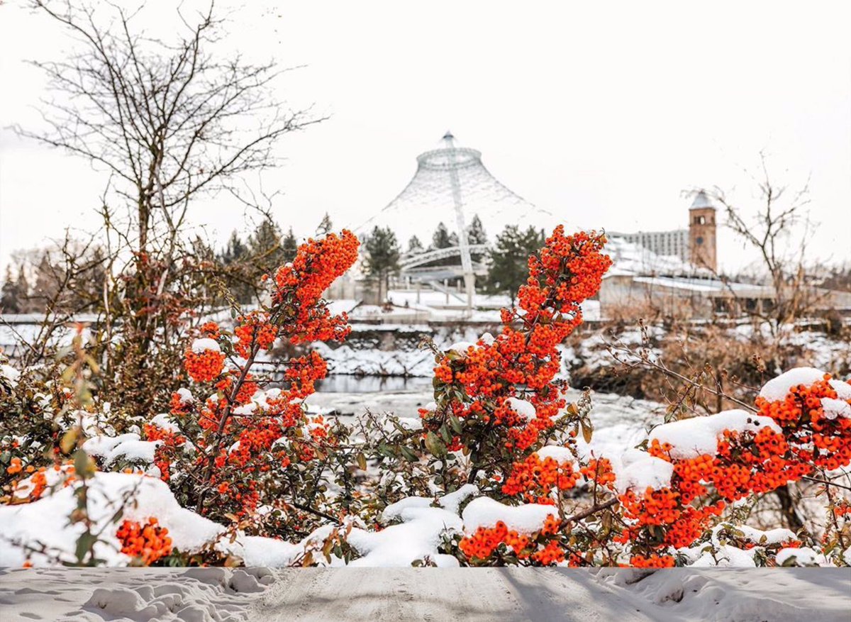 SpokanePulse tweet media