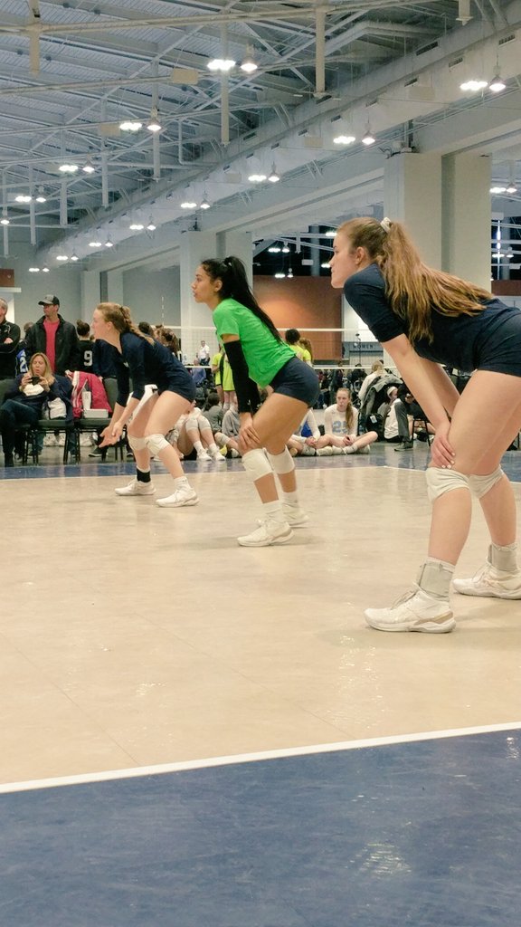 EVJ Volleyball tweet media