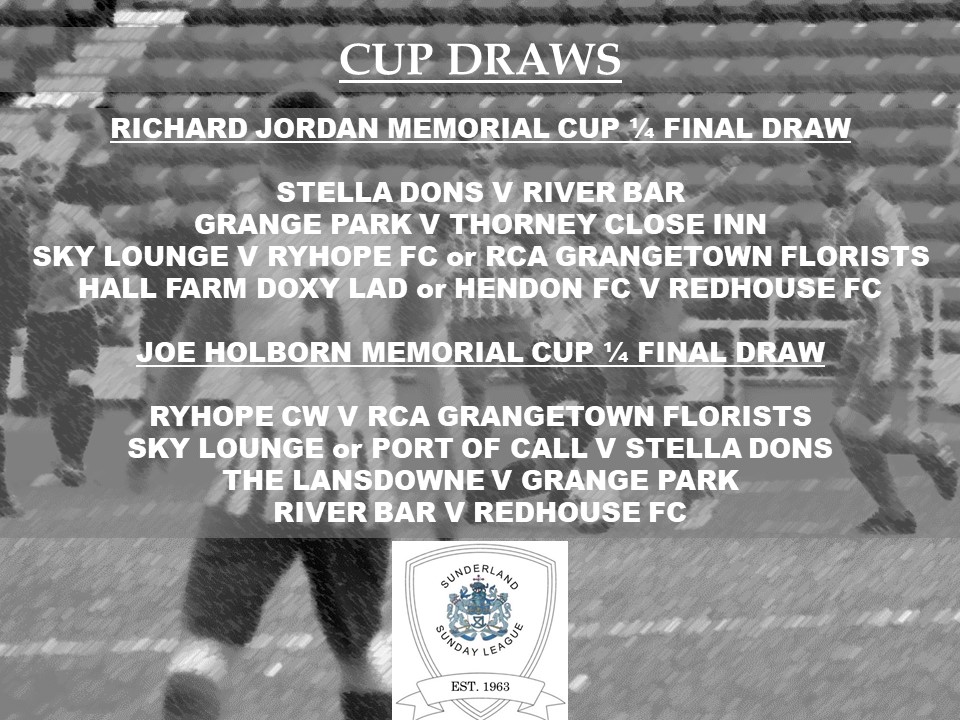 SunderlandSunLeague tweet media