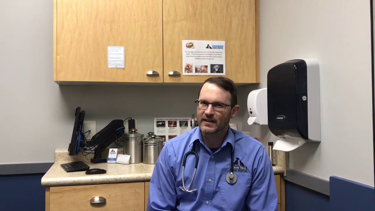 ITAHvet's tweet image. 🐕🐈 Why #Microchipping is Important! 👨‍⚕️  #MicrochipMonday #ITAHNC #ITAHVEThttp://bit.ly/2RuG3lU