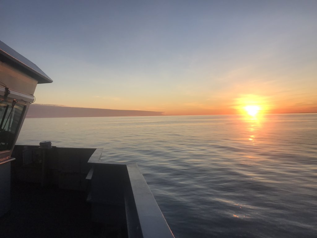 HMS_MERSEY's tweet photo. What a day in the Mighty MERSEY. Now officially working for the future RN by operating fixed wing RPAS from our cargo (now flight) deck. Also managed some 20mm gunnery to finish off! Proud to be part of building capability for @RoyalNavy #SmallShipBigImpact. @RNASCuldrose @CdrFPS https://t.co/RDfMks0zpQ
