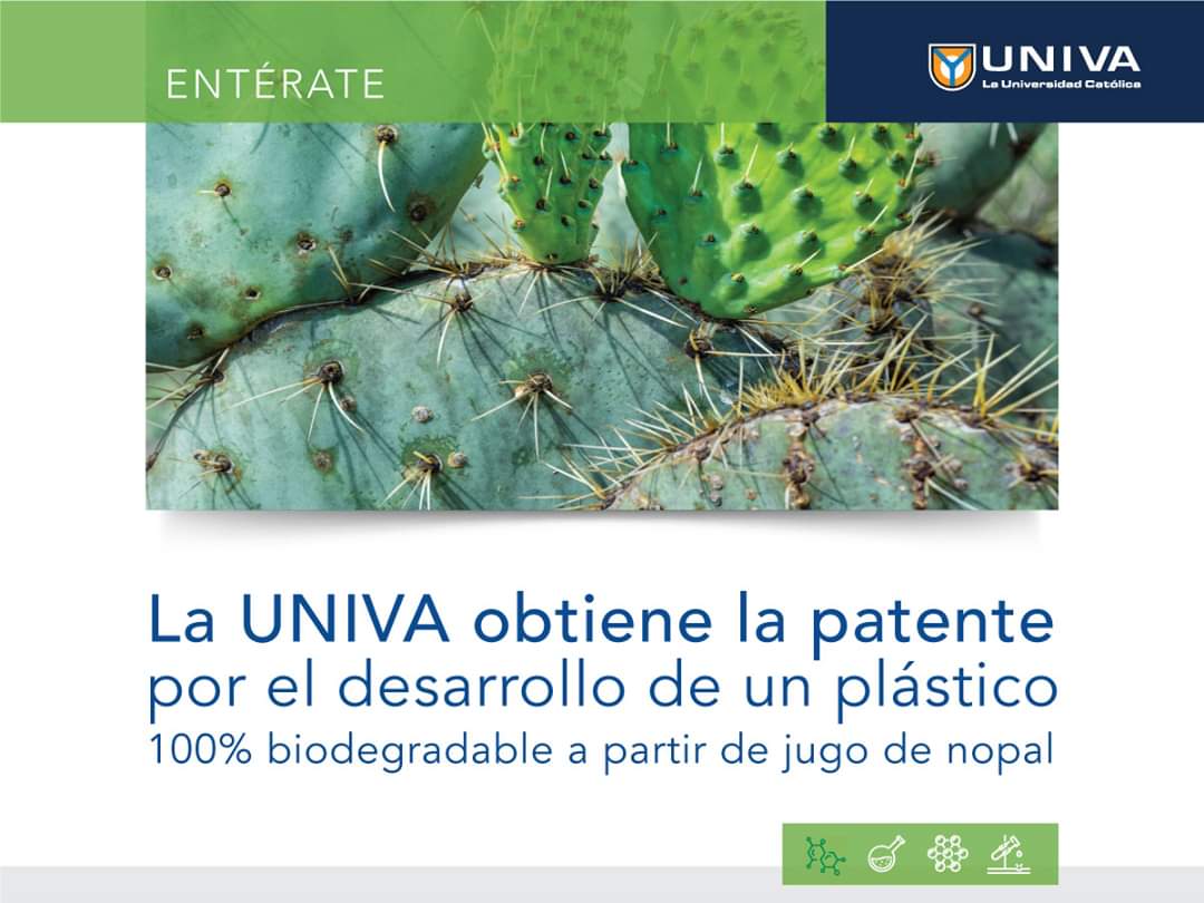 Ecopoint_Mexico's tweet photo. El nopal es el nuevo plástico, así es la UNIVA ha desarrollado una patente que podrá remplazar al plástico hecho con uno de los productos más mexicanos, el nopal, así que esperemos que esto se concrete y apoyemos este producto mexicano y ecologico.

https://t.co/TSrzjURftf https://t.co/KzAIkFq0GL