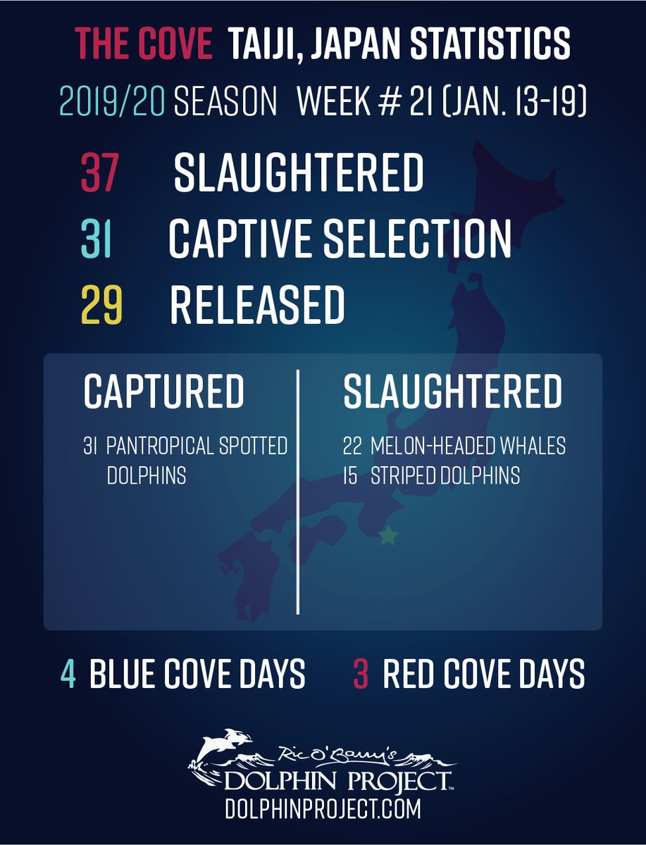 It's been a particularly brutal week in Taiji, Japan. Please continue to spread the word about these hunts. Share the livestreams and encourage your friends and family to take action at dolphin.fyi/HelpJapanDolph…
#DolphinProject #DontBuyATicket #EmptyTheTanks