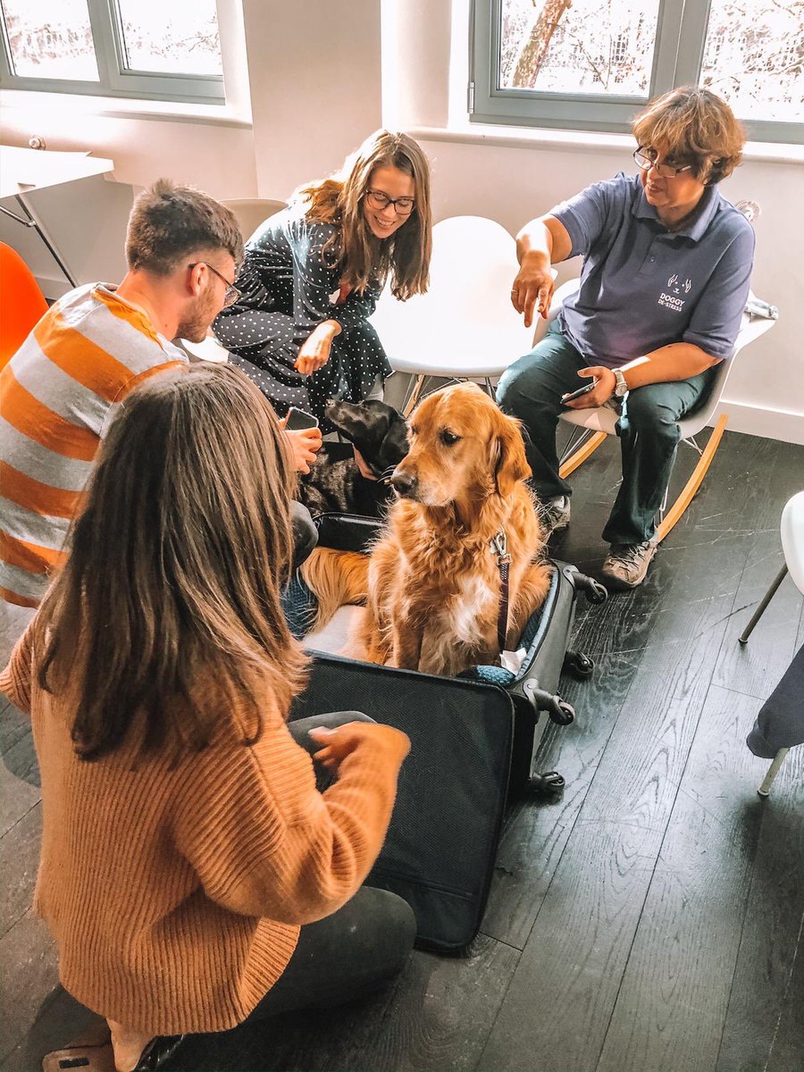 GCI Health EU tweet media