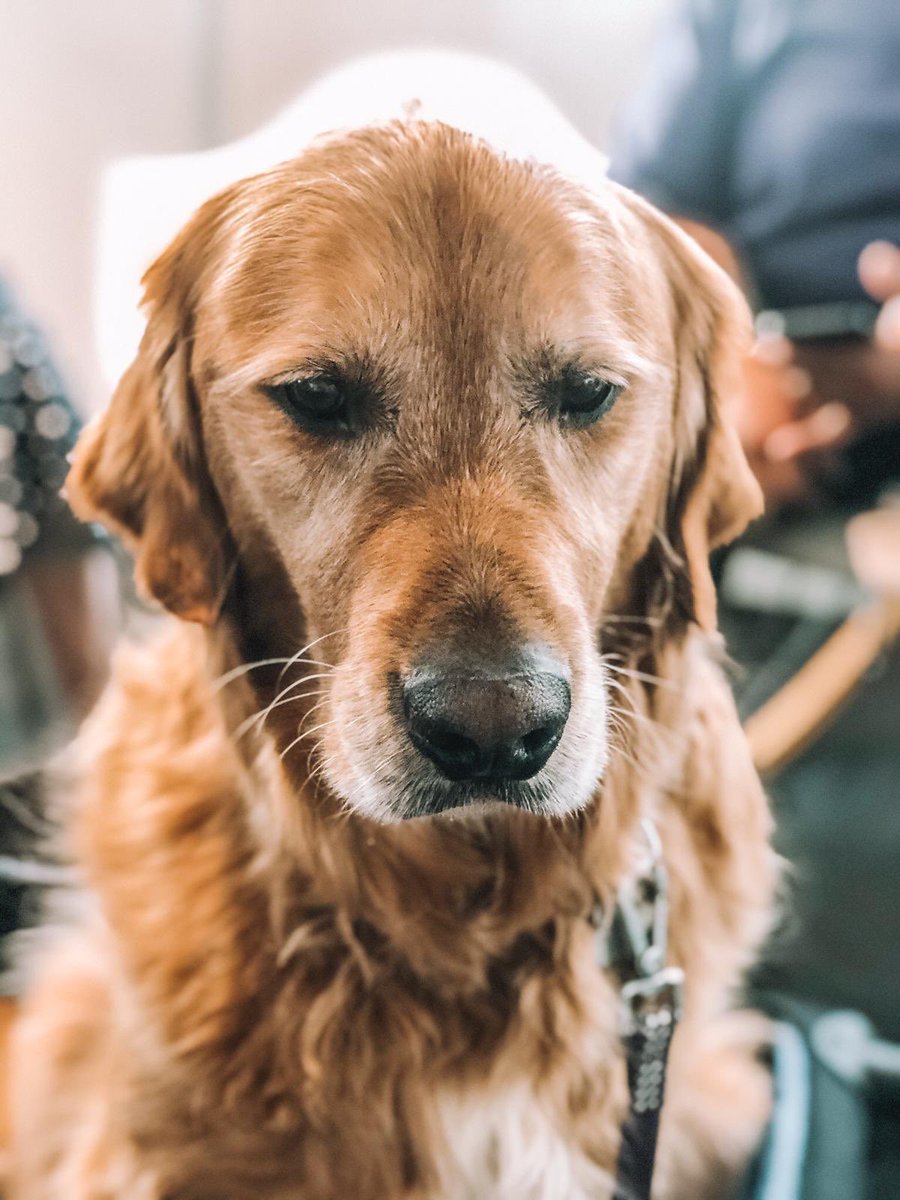 GCI Health EU tweet media