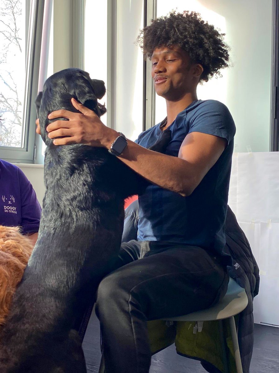 Think paws-itively this #BlueMonday ! #DYK playing with a dog can elevate levels of serotonin and dopamine, which calm and relax? At GCI Health, we’re committed to both the physical and #mentalhealth of our colleagues. That’s why we brought in <a href="/doggyDS/">vgy</a> to our London office!