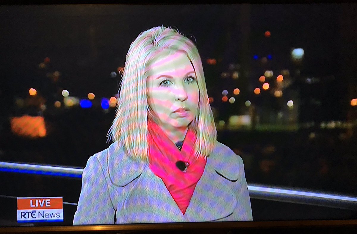 MacAnBhaird's tweet photo. Catriona Perry channelling limerick people, who for the last 10 years have had to put up with this shower of politicians... #rtesixonenews https://t.co/zIZwfB4446