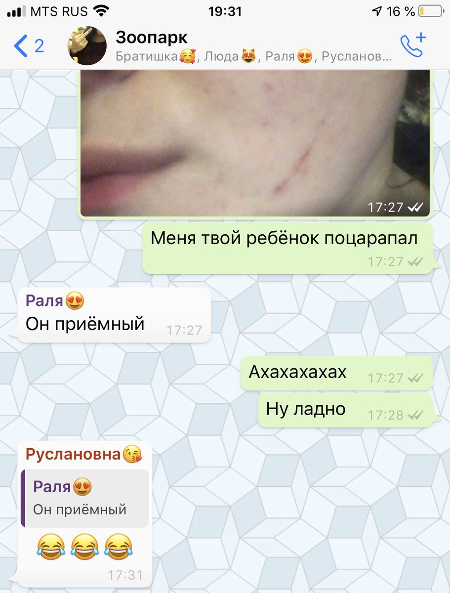 __undercover___'s tweet image. 😁
Как сказать коту , что он приёмный ?