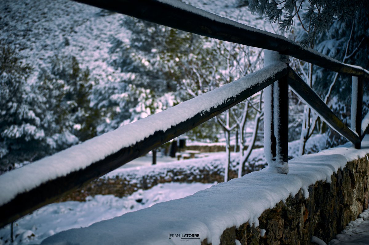 Fran_Latorre's tweet photo. PARTE 3

❄️❄️Nevada en Pegalajar. ❄️❄️

#CAPTUREONE12 #LIGHTROOM #ADOBE #PHASEONE #FOTO #JAEN #ANDALUCIA #ESPAÑA #NIKON #50MM #BOKEH #PHOTO #PEGALAJAR #NIEVE #SNOW #GLORIA #BorrascaGloria https://t.co/THd0abMHFC