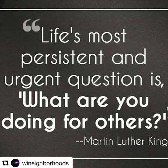 ABeautifulFloridaWed tweet media