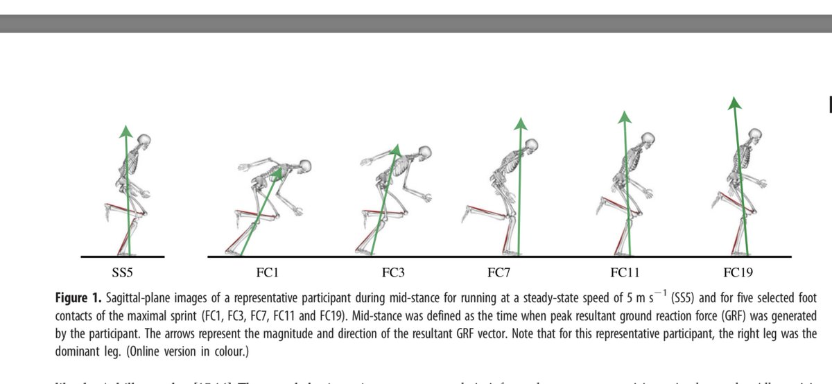 Docorange1's tweet photo. Top tweet 2019.Human ankle plantar flexor muscle– tendon mechanics and energetics during maximum acceleration sprinting. Human ankle plantar flexor muscle– tendon mechanics and energetics during maximum acceleration sprinting https://t.co/qBA6iLHoiX … https://t.co/Dl9qs6srYI https://t.co/AypotGdV0o