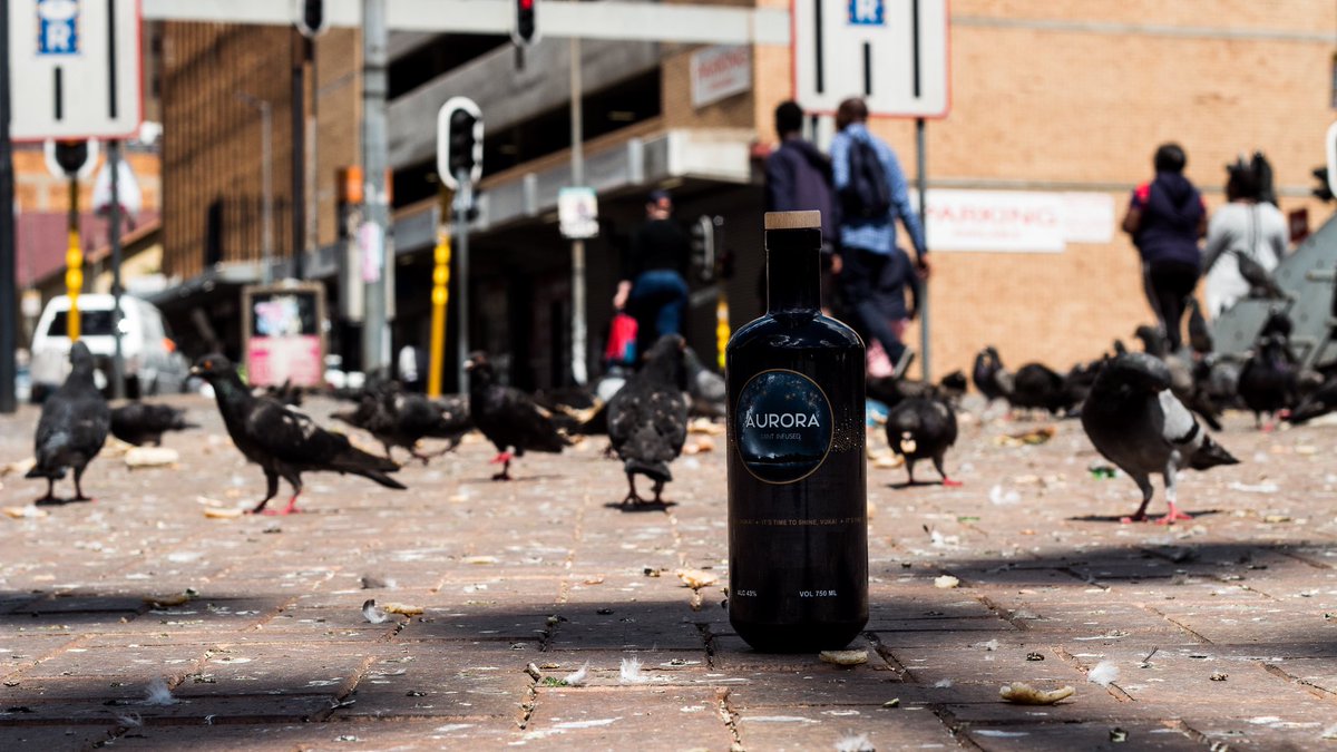 SA__VIBE's tweet photo. How about we become the birds and the bees together with @AuroraVodkaSA #VUKA! #ItsTimeToShine #ItsAVibe ✨ https://t.co/kGN0GDYvh3