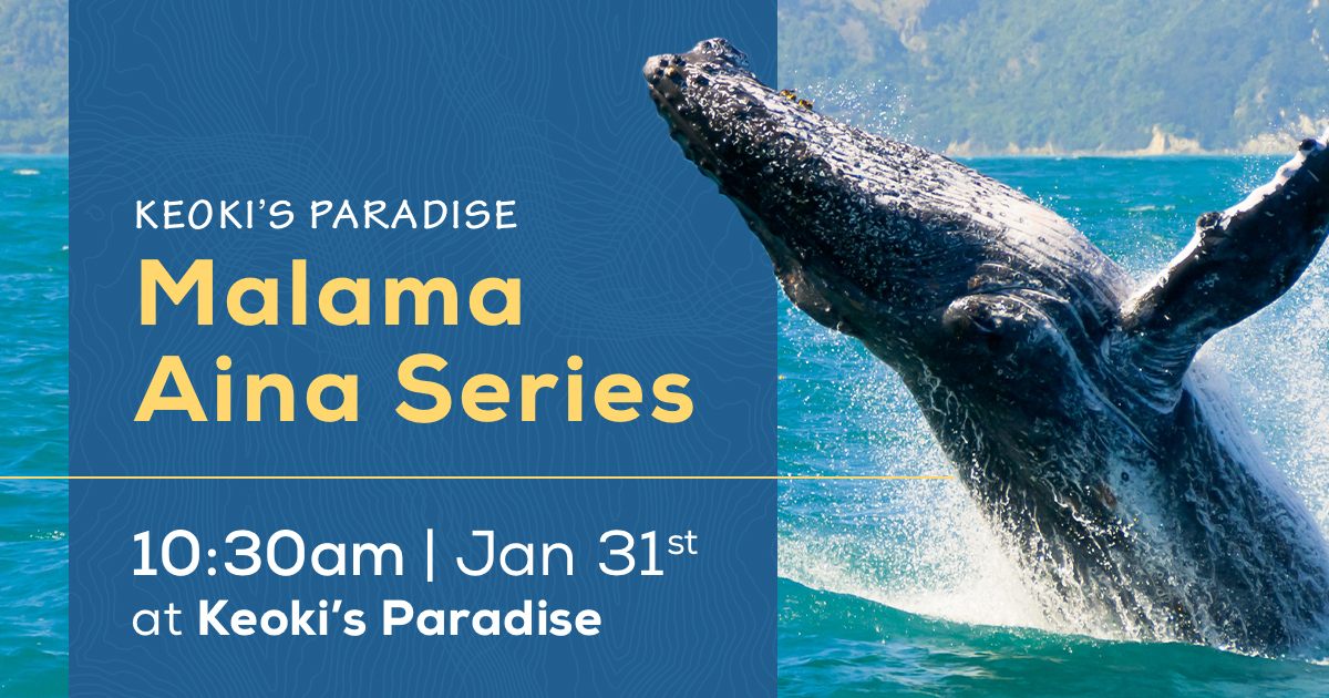 Mark the date! 🐳 Join us on January 31 for the first event in our Malama Aina Series, an educational enrichment program encouraging the awareness of important environmental issues. Help us protect one of Earth's greatest wonders. 
keokisparadise.com/event/malama-a…