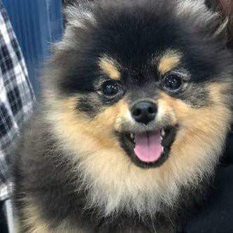 Is there a more consistent smiler than Kim Yeontan? Seems like he learned how to be a heartbreaker from his father.
