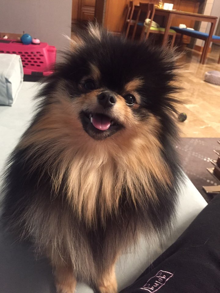 Is there a more consistent smiler than Kim Yeontan? Seems like he learned how to be a heartbreaker from his father.