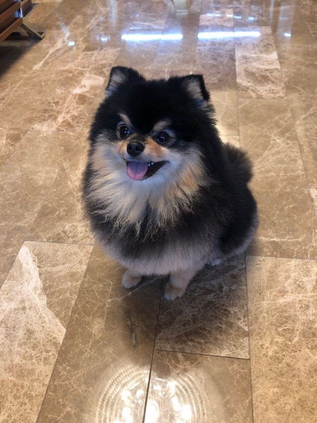 Is there a more consistent smiler than Kim Yeontan? Seems like he learned how to be a heartbreaker from his father.