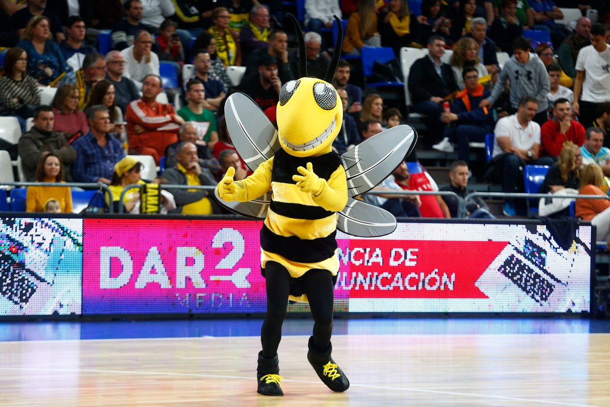 Dar2Media's tweet photo. ¡¡#VamosCanarias!! 🏀💛🖤

Fotos: @CB1939Canarias https://t.co/SqJz0pb8Fh