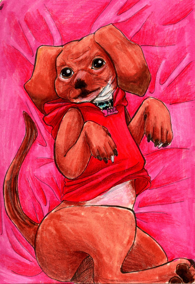 AurasArt's tweet photo. ✨My sweet baby Fae✨ #ArtistOnTwitter #doxel #fae #doggo #puppy #tombow #coloredpencil https://t.co/kADIwNaB8Z