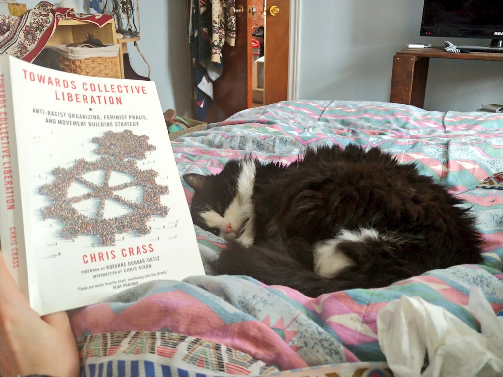 kerriclaireneil's tweet image. Moonshine is really enjoying having someone to hang out in bed with 💕 #petsofMUN