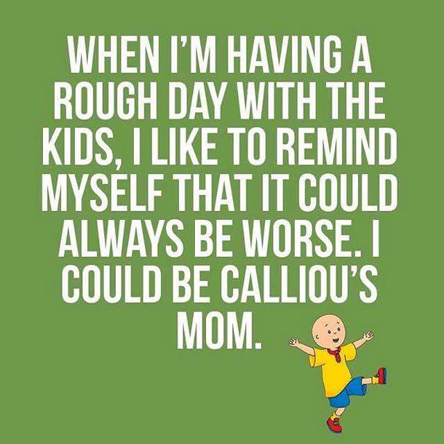 Julia Groves (@thequietgrove) on Twitter photo 