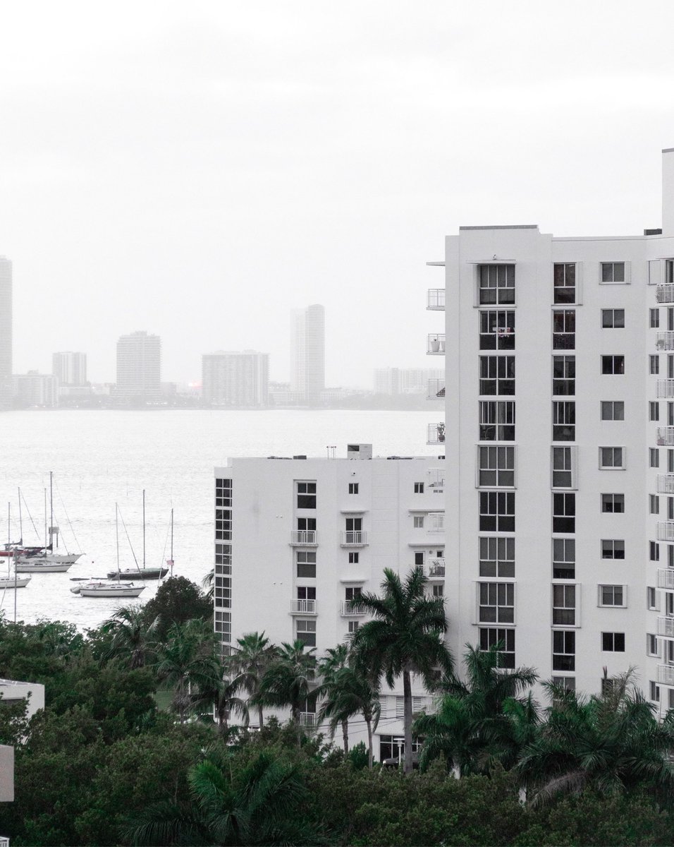 vmvstudios's tweet image. #Miami mornings. 🏴
