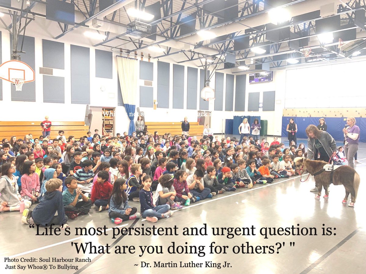 soulharborranch's tweet photo. #MartinLutherKingDay #miniaturetherapyhorses #justsaywhoatobullying #wehelponeanother #sharingofunconditionallove https://t.co/VSOiKdTuh1