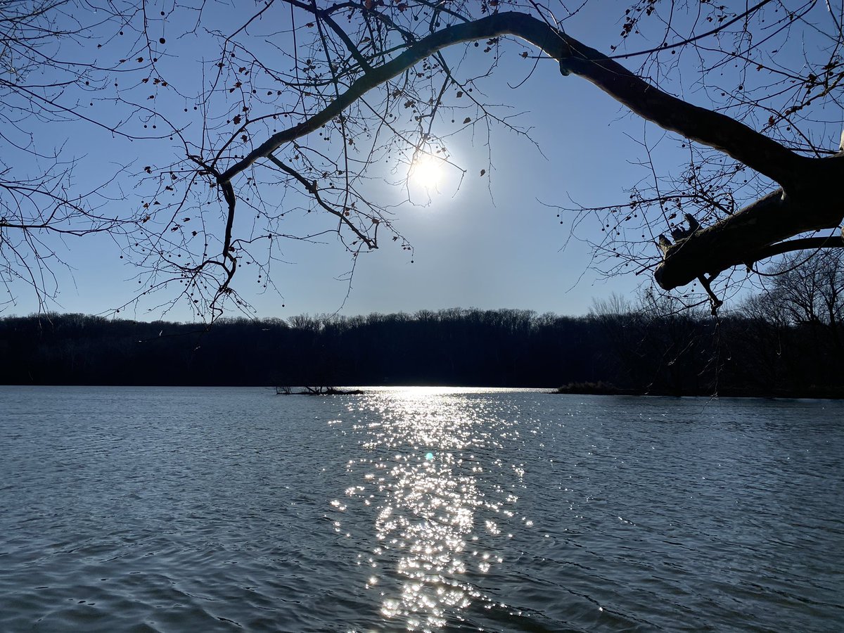 MsTrimbleEng's tweet photo. Winter sun dance on the other side of the Potomac River 🌞 #CandOCanal #trailrunning #getoutside #itscoldthough #NationalParks https://t.co/DvvX67tbKH
