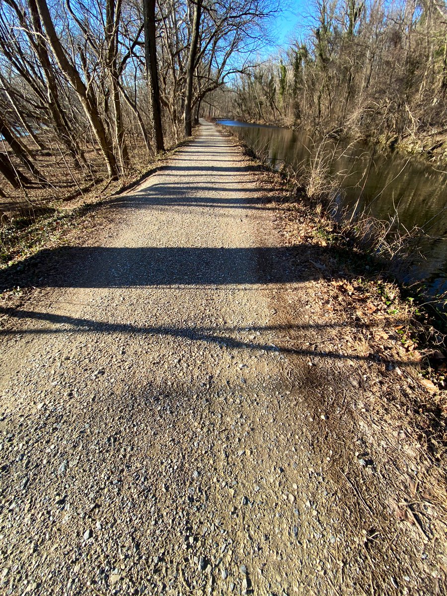 MsTrimbleEng's tweet photo. Winter sun dance on the other side of the Potomac River 🌞 #CandOCanal #trailrunning #getoutside #itscoldthough #NationalParks https://t.co/DvvX67tbKH
