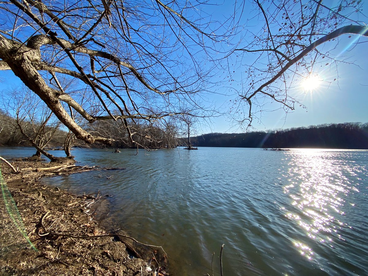 MsTrimbleEng's tweet photo. Winter sun dance on the other side of the Potomac River 🌞 #CandOCanal #trailrunning #getoutside #itscoldthough #NationalParks https://t.co/DvvX67tbKH